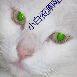 小白資源網站