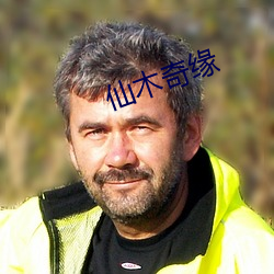 仙木奇缘