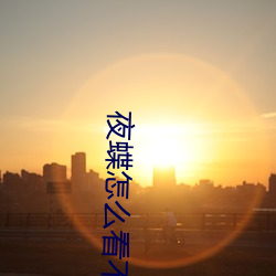 夜(夜)蝶怎么看不了(了)了