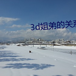 3d姐弟的关系第四集观看