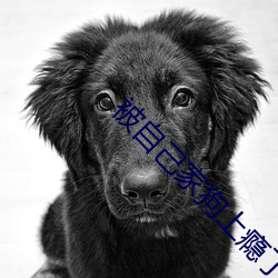 被自己(jǐ)家(jiā)狗(gǒu)上瘾了怎么(me)办
