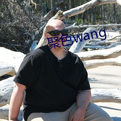 聚色wang