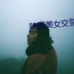 陕西美女交警