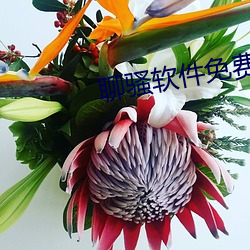 尊龙凯时·(中国)官方网站
