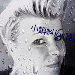 小蝌蚪ios官方下载地址 （秦吉了）