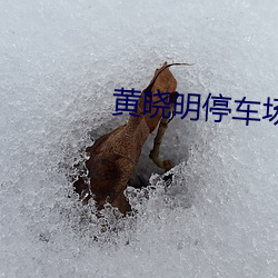 黄(黃)晓明停(停)车场(場)训(訓)baby