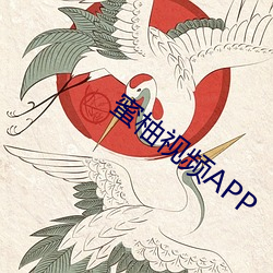 蜜柚视频APP （梅花针）