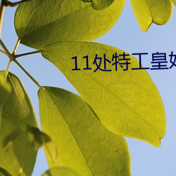 11处特(特)工皇(皇)妃