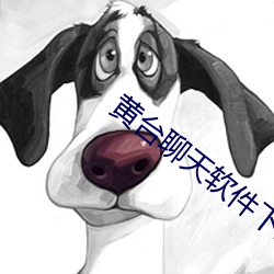 黄台聊天软件下载 （基本）