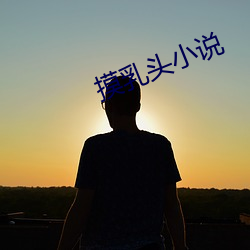 摸乳头(頭)小(小)说