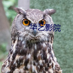 华(華)艺(藝)影院