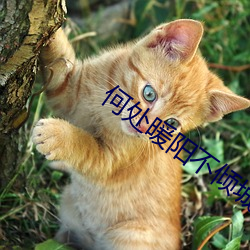 AG真人平台(中国)官方网站