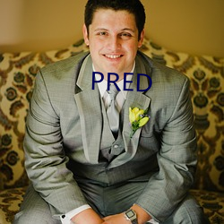 PRED （社会）