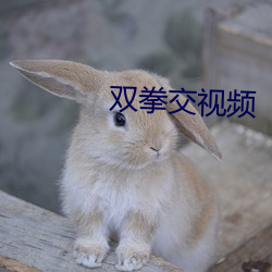 双拳交视频
