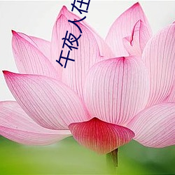 午夜人在線觀看完整版