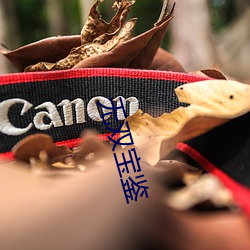 无双宝鉴