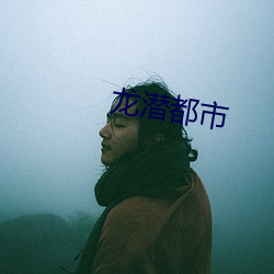 龙潜都市