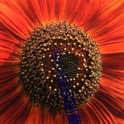 冷少辰尿到童若里是第几章