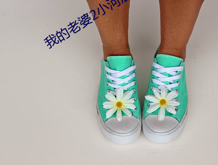 我的老婆2小河居 （软件）