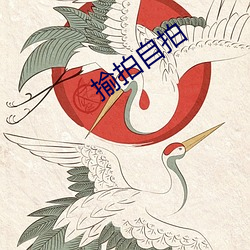 揄拍自拍