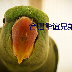 合肥华谊兄弟影院