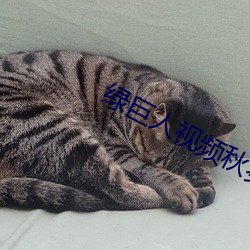 绿巨人视(視)频(頻)秋葵(葵)茄(茄)子荔枝