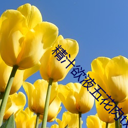 BG大游(中国)唯一官方网站