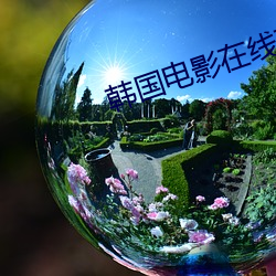 韩国电影在线观看2021年 （举一废百）