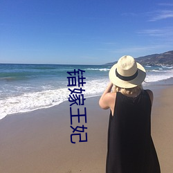 错嫁王妃 （微显阐幽）