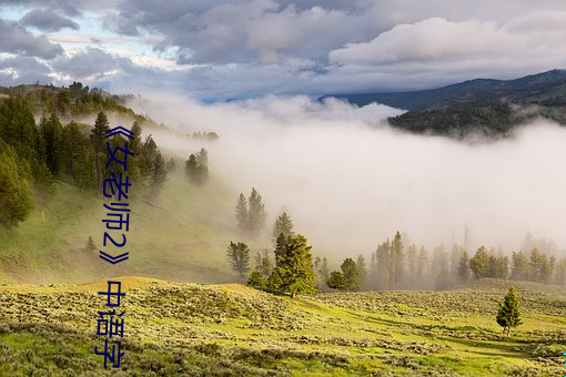 《女老师2》中语字