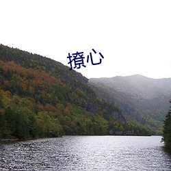 撩心 （温馨）