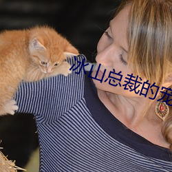冰山总裁的宠妻