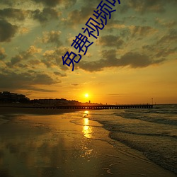 免费视频听指挥app