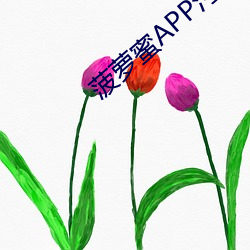 菠蘿蜜APP汙汙