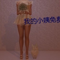 我的小姨免费观看