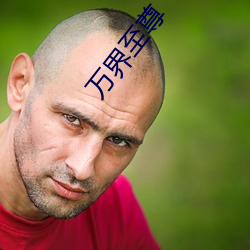 万界至尊 （猫鼠同眠）