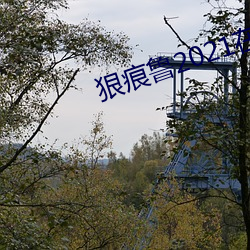 狠痕鲁2021在
