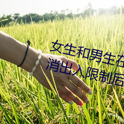 女(nǚ)生和男(nán)生在一起怼怼怼游(yóu)戏自取消出入(rù)限制后人气暴涨(zhǎng)!