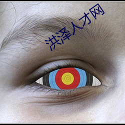 洪泽(澤)人(人)才网