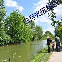 白月(yuè)光黑绿(lǜ)茶