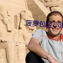 菠萝包轻小说 （春头）