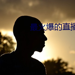 最火爆的直播平台(tái)
