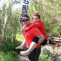 书剑恩仇录小(xi��o)说