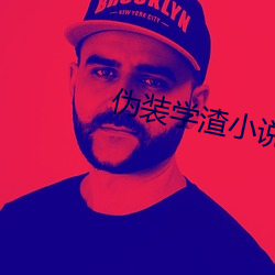 伪装学渣小说