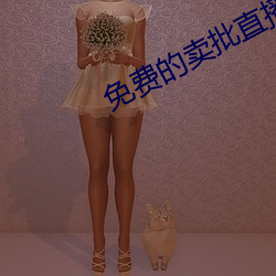 免费的卖批直播