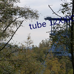 tube 12XXXXHD （自投网罗）