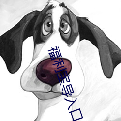福利宝导入口
