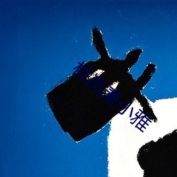 林岚秦小雅
