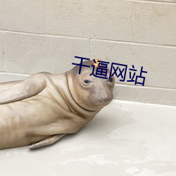918博天堂·(中国)手机版客户端