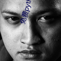 免费python在线观看 （光化学烟雾）